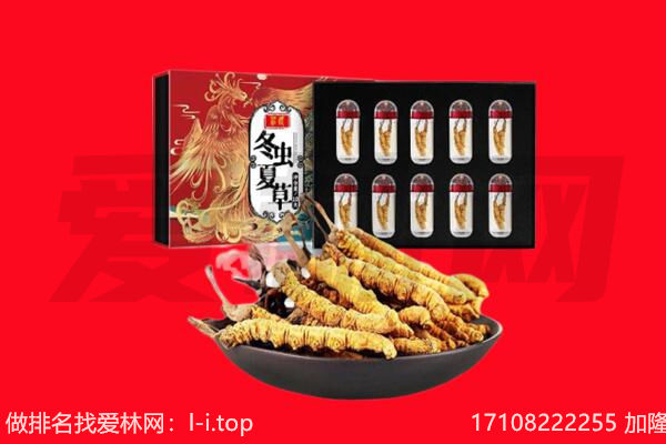 安顺平坝区回收虫草.jpg